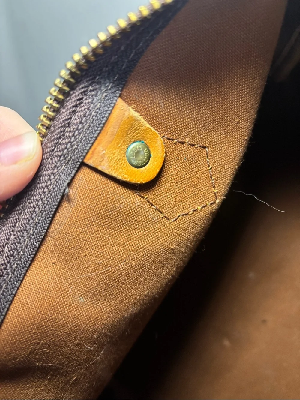 Louis Vuitton Monogram Canvas Speedy Handbag - Brown/Tan